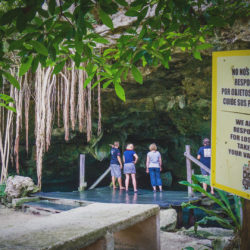 Cenote Adventures Aktuelles
